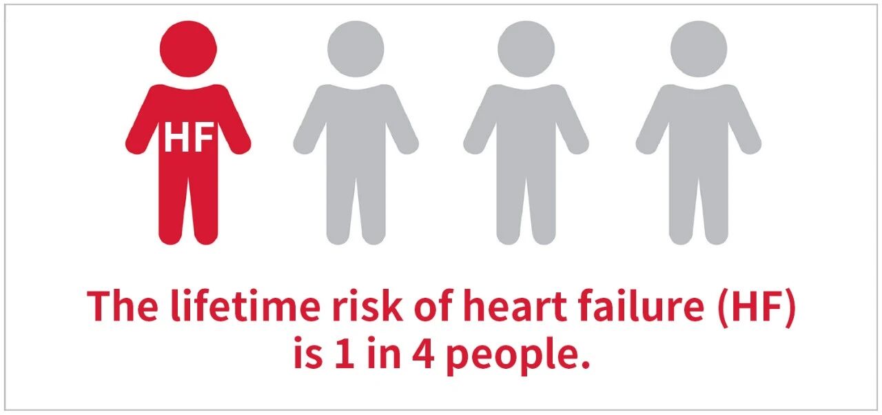 新品上市 | 心衰診斷雙保障——聚焦心衰精準診斷，我們從未止步！